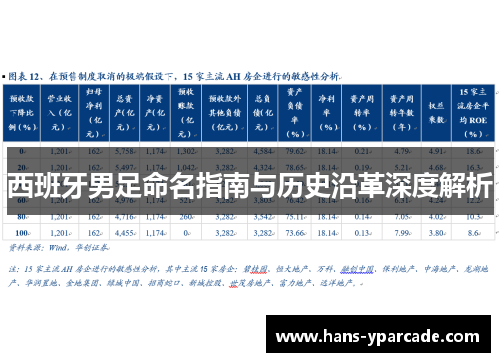 西班牙男足命名指南与历史沿革深度解析
